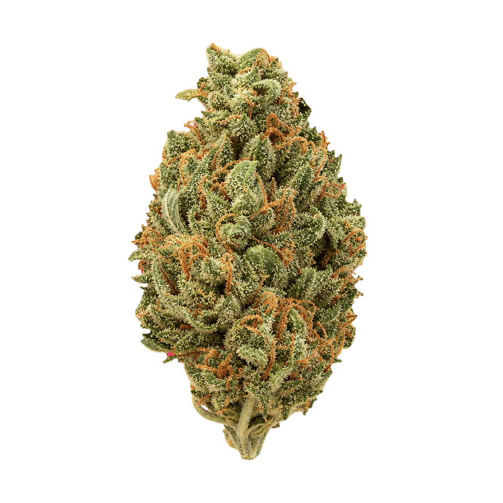 Cookies Gelato YaHemi