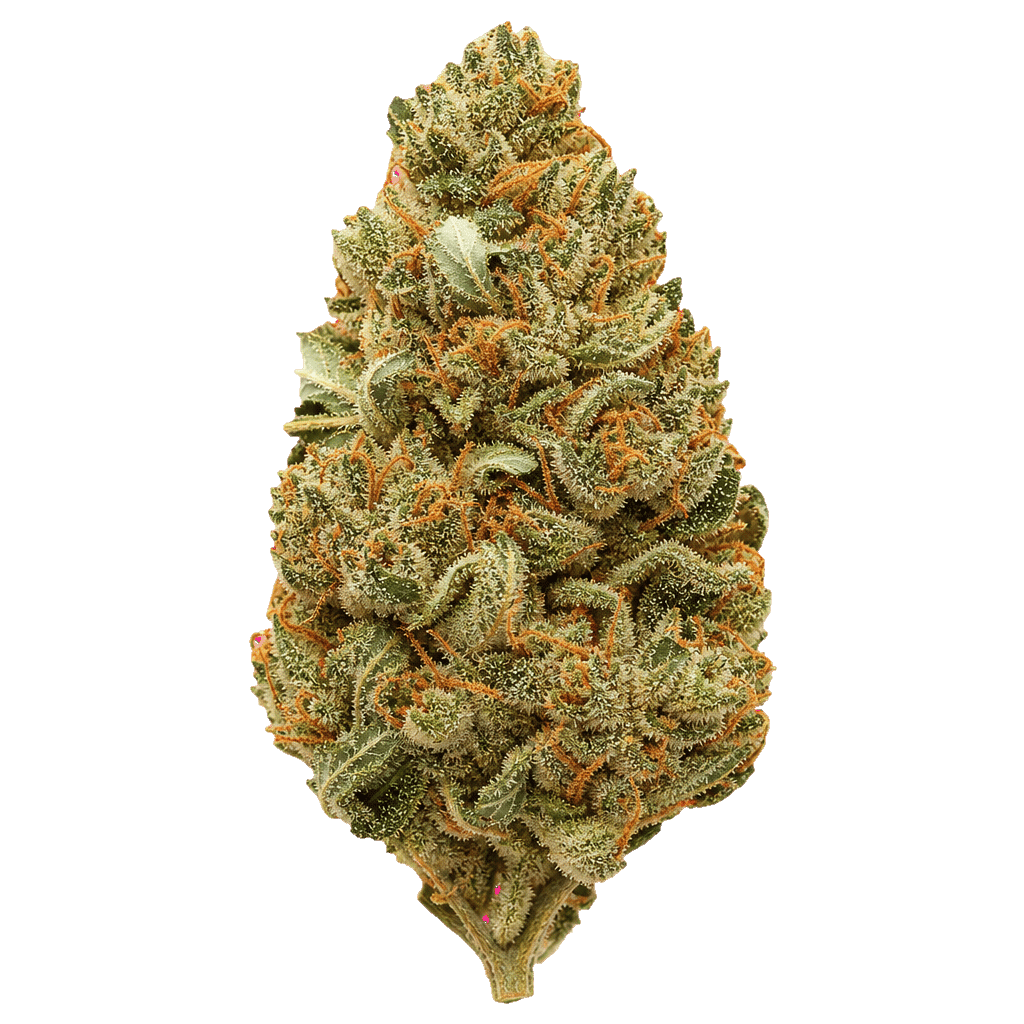 Nothern Lime Pie