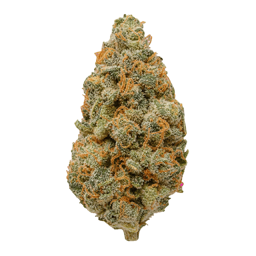 Frosty Platin Widow