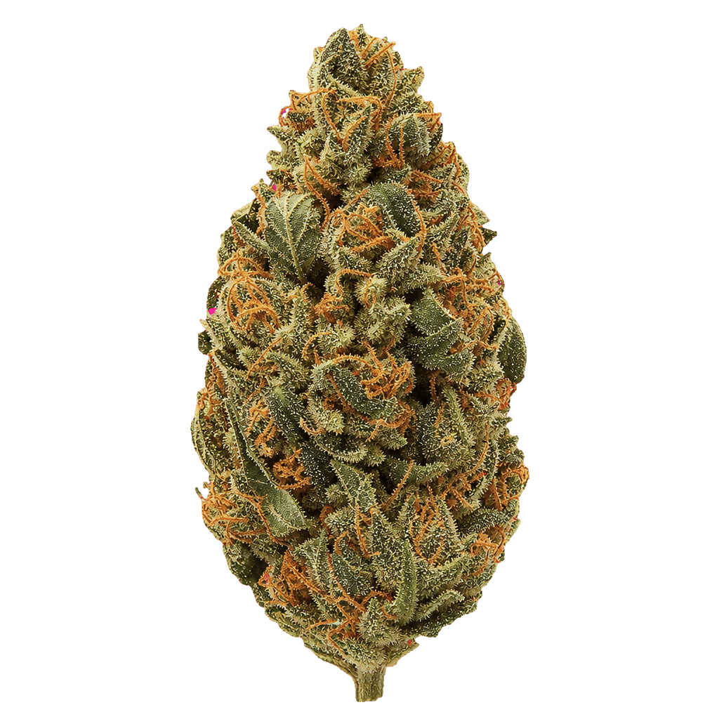 Strawberry Haze