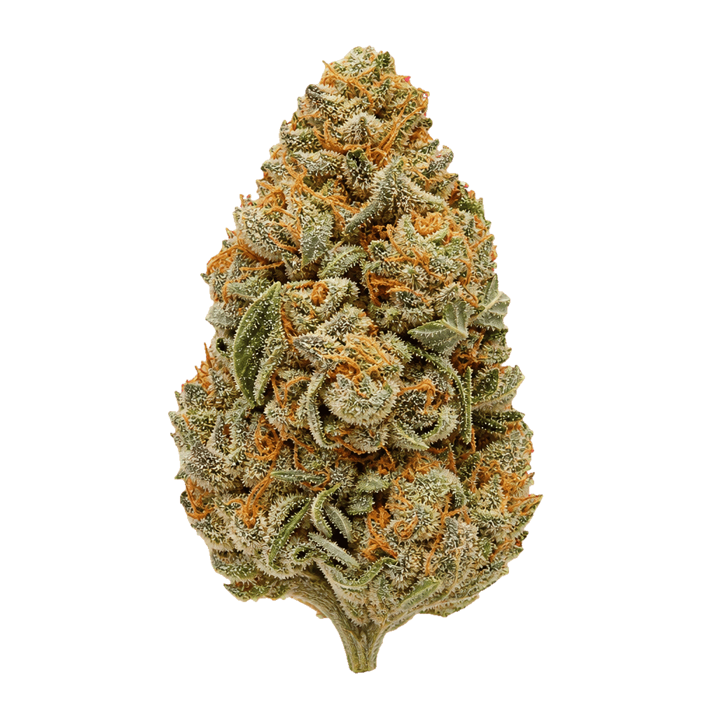Hash Burger