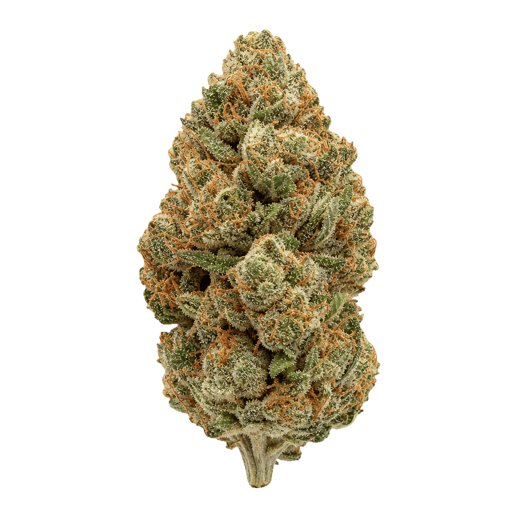 Chem Dawg OG