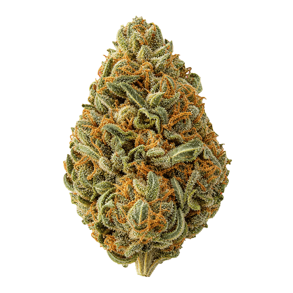 Grape Hubba Bubba