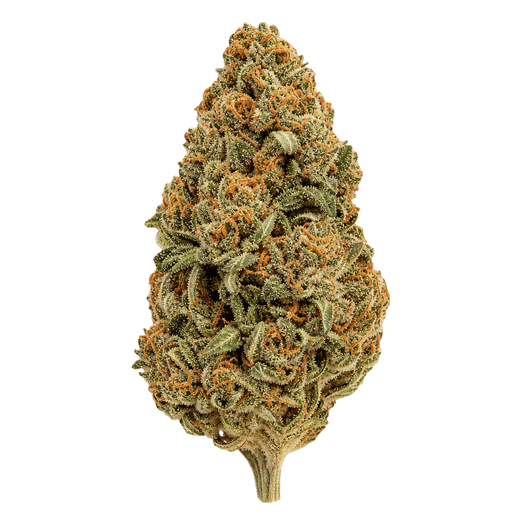 Kali Lime Pie