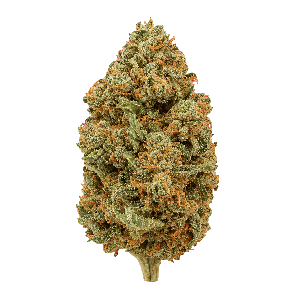Meatbreath