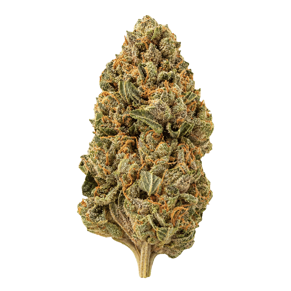 Liberty Haze