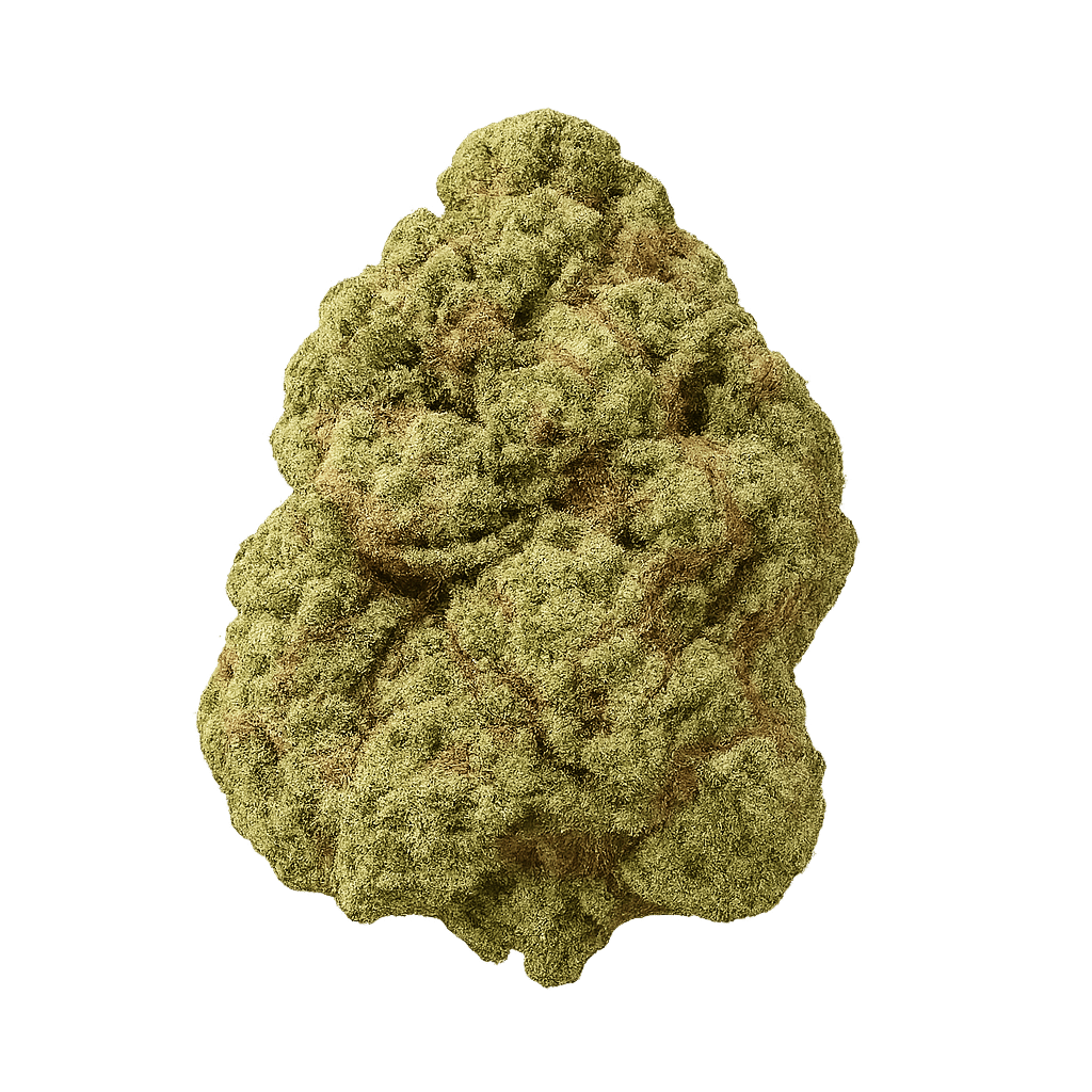 Sensi Double Kush
