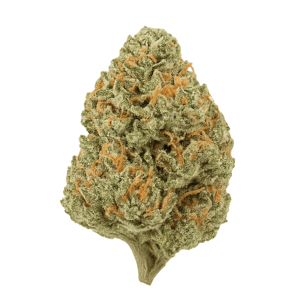 Big Buddha