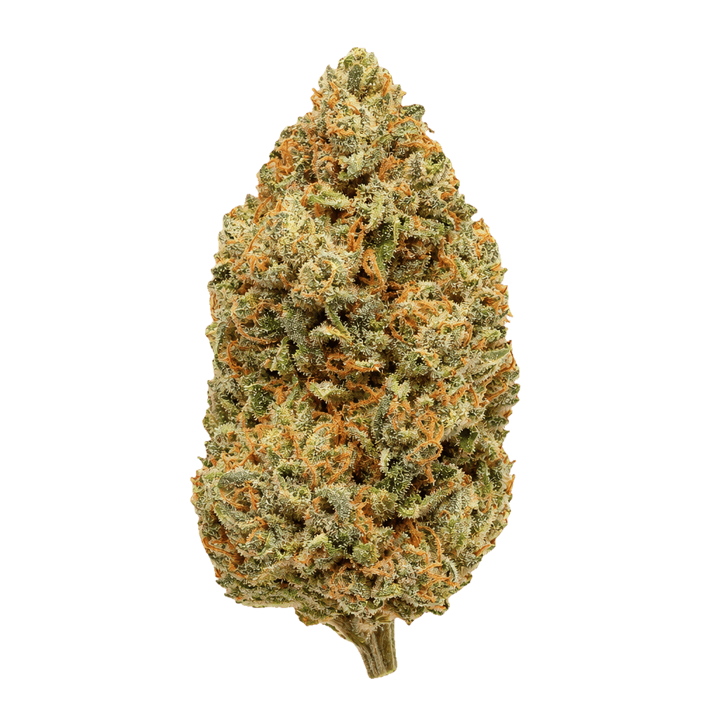 Frosted Lemon Angel