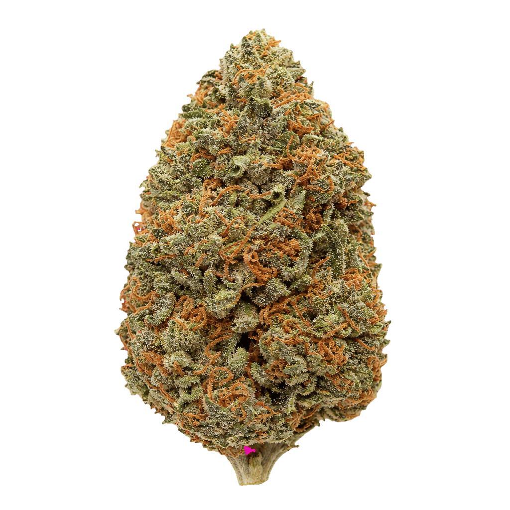 Driftwood Diesel