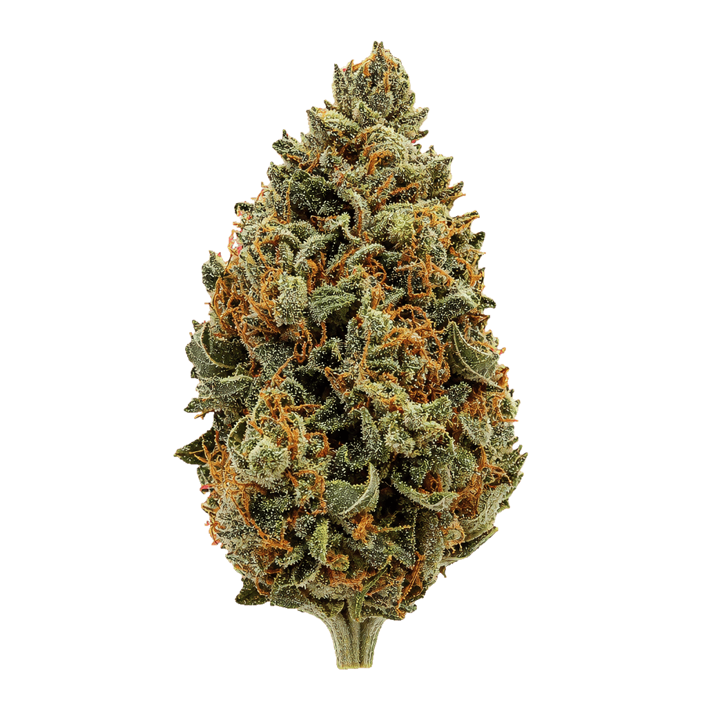 Baked Animal