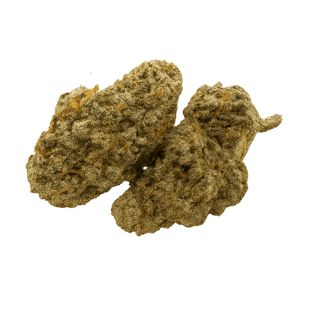 Jack Herer