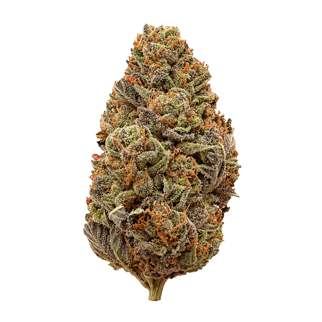 Cinderella Kush