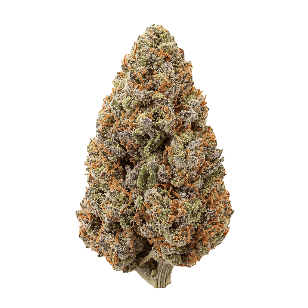 Pink Kush