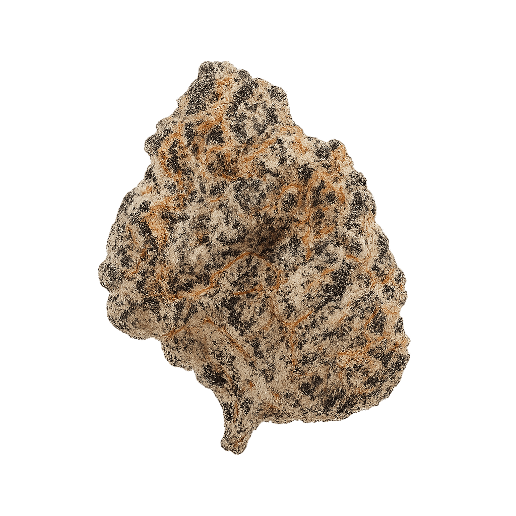 Crispy Doughnut