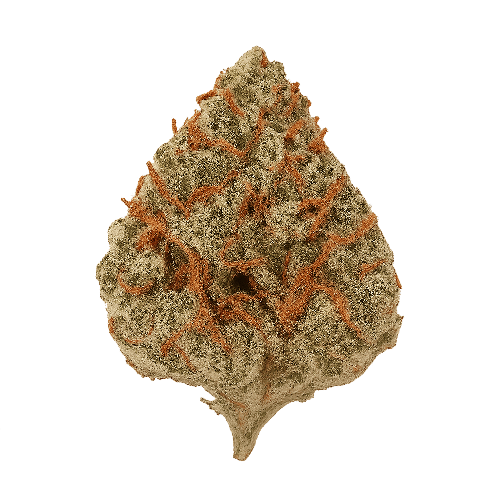 Oasis OG