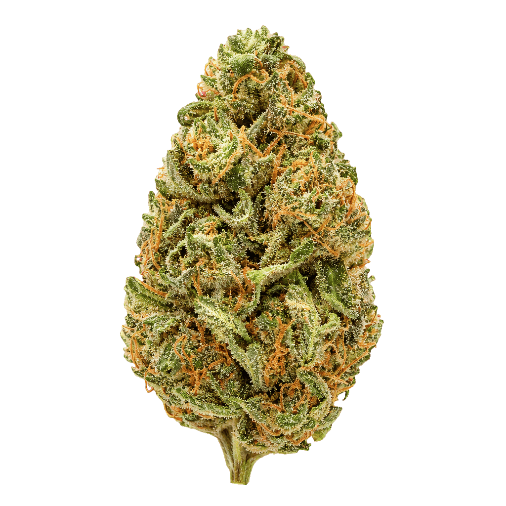 Mellowz