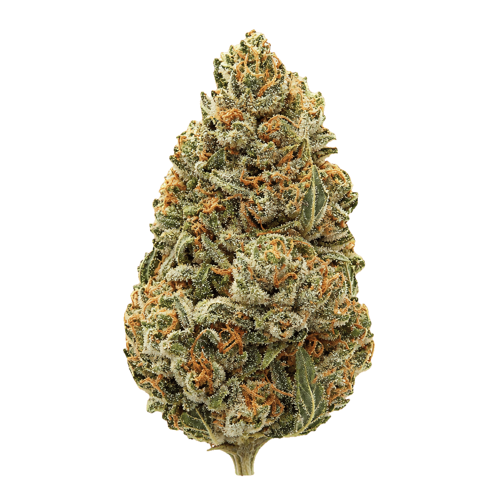 Sour Mango