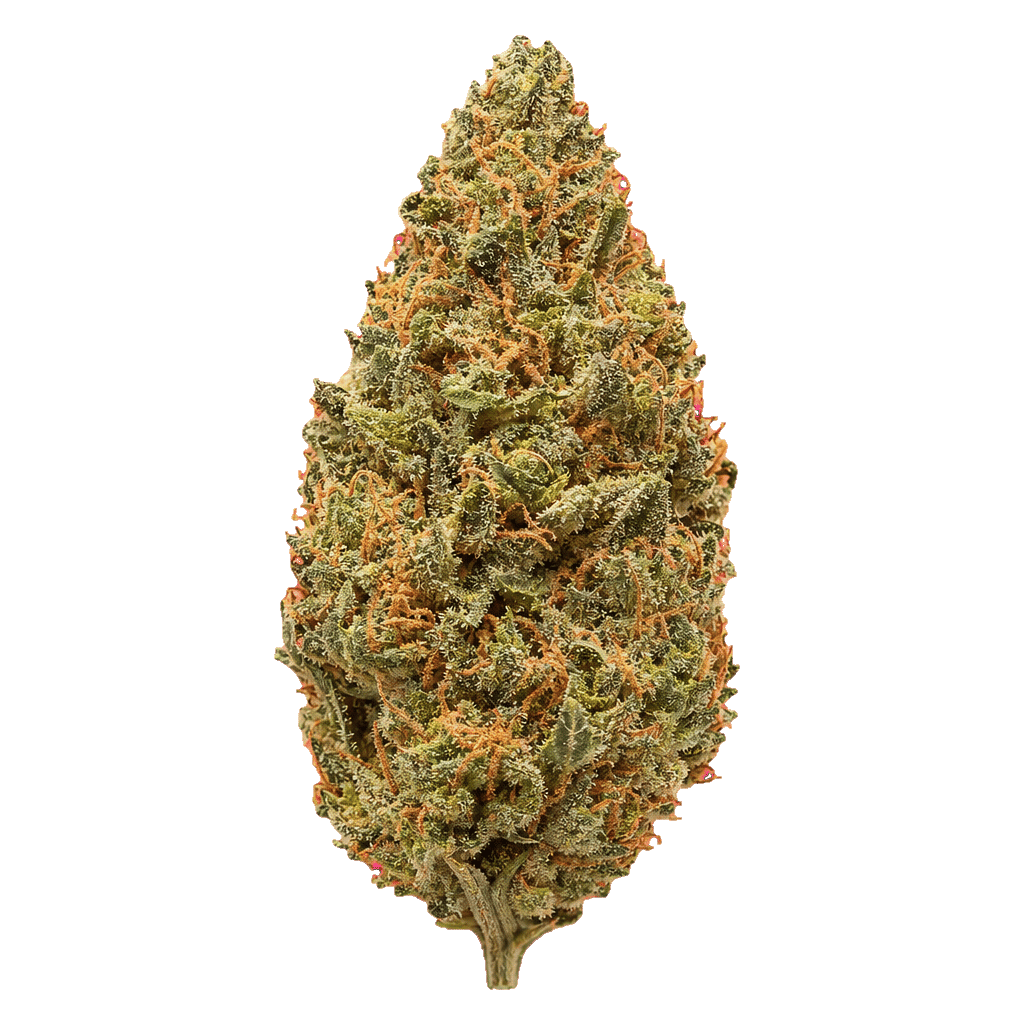 Tangerine Dream