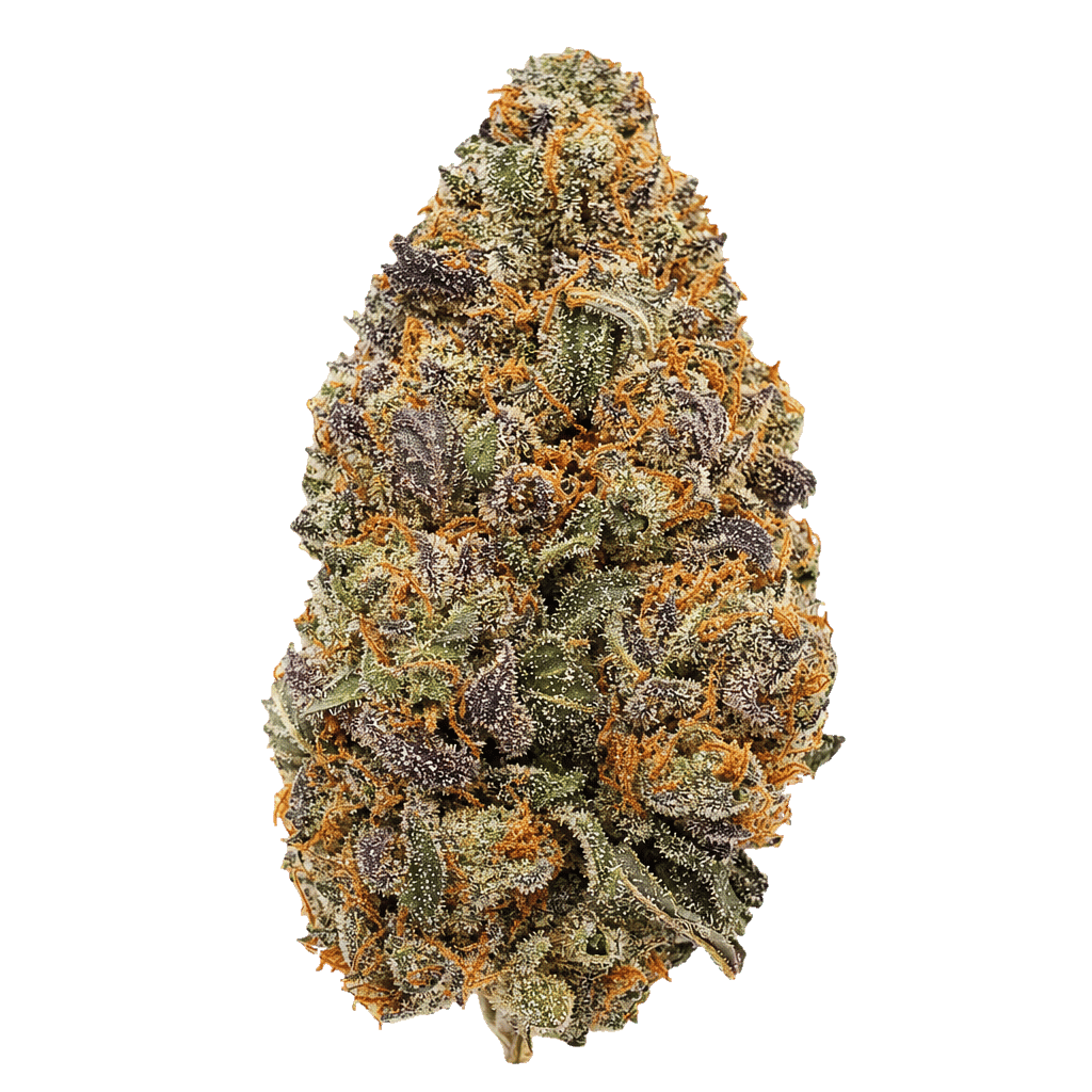 Purple Amnesia
