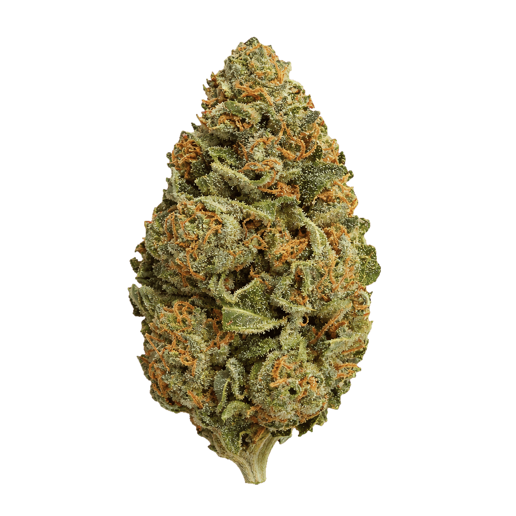 Kali Banana