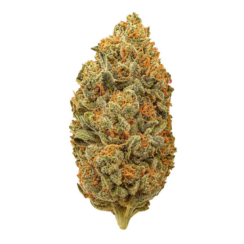 Tropicana Banana