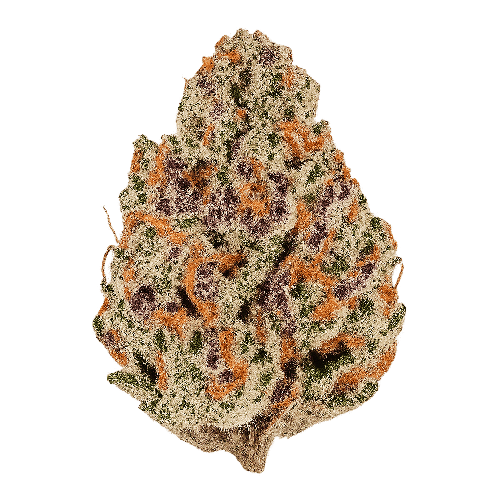 Slurricane