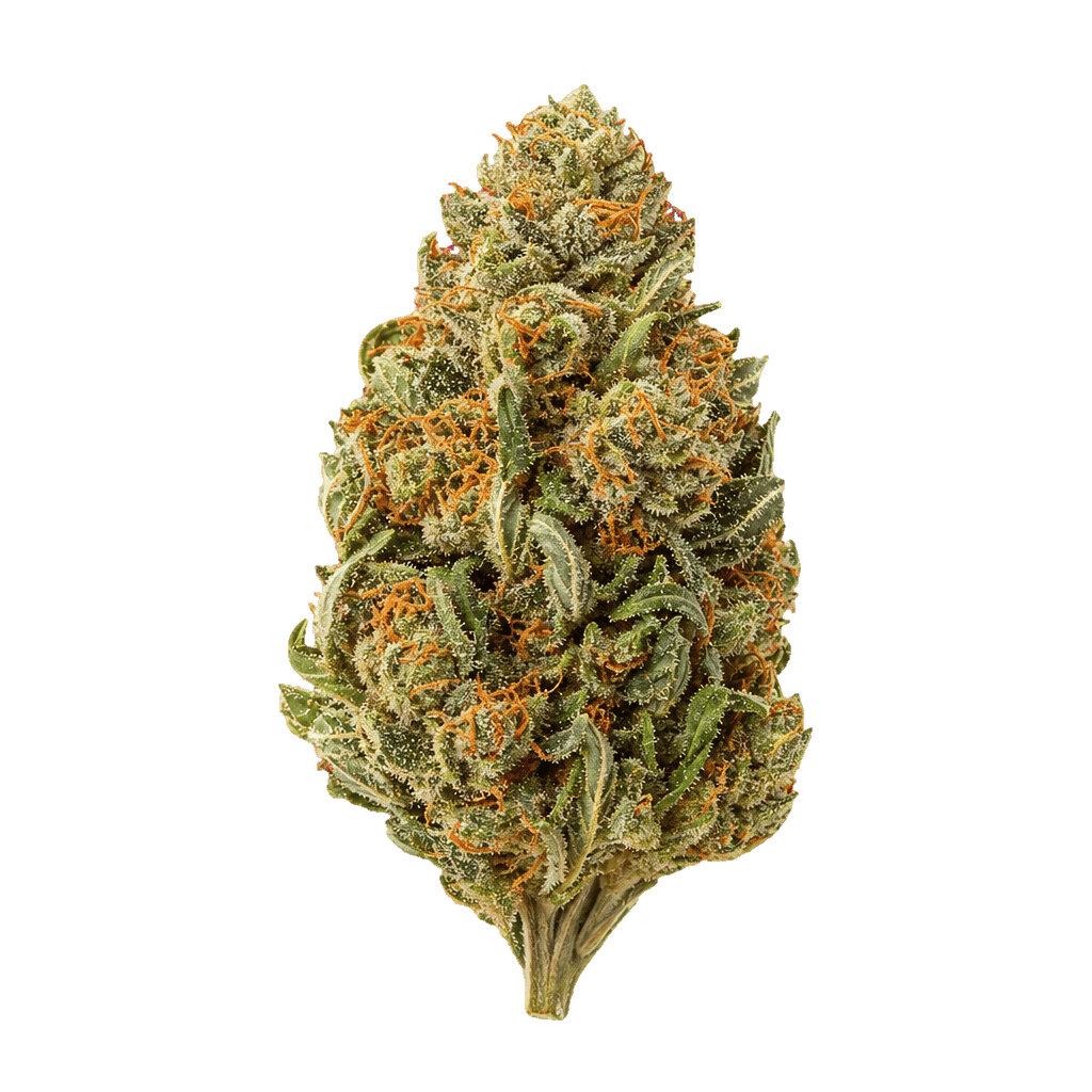 Critical Orange Punch