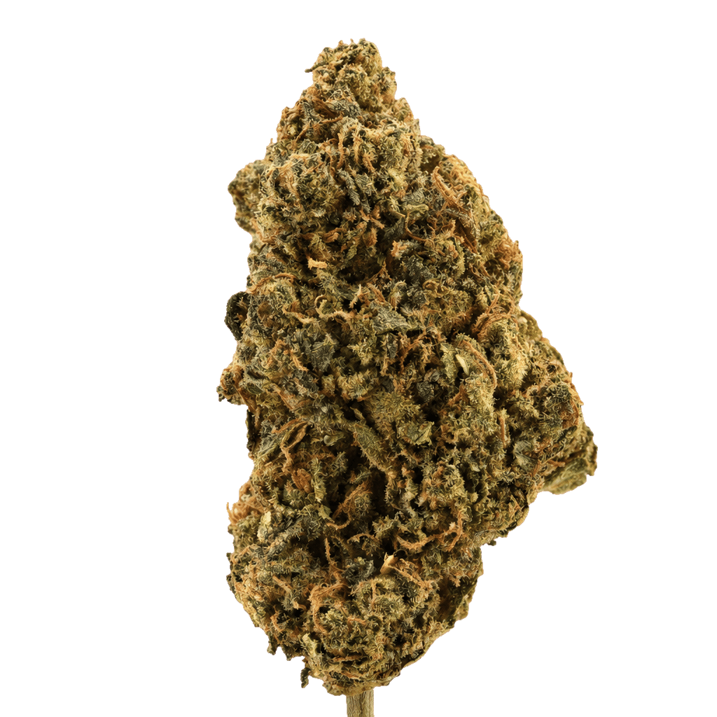 Lemon Cherry Gelato