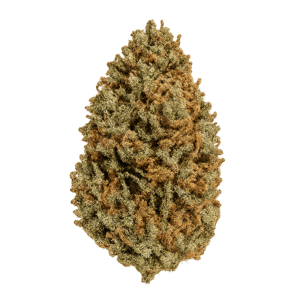 Blueberry Headband