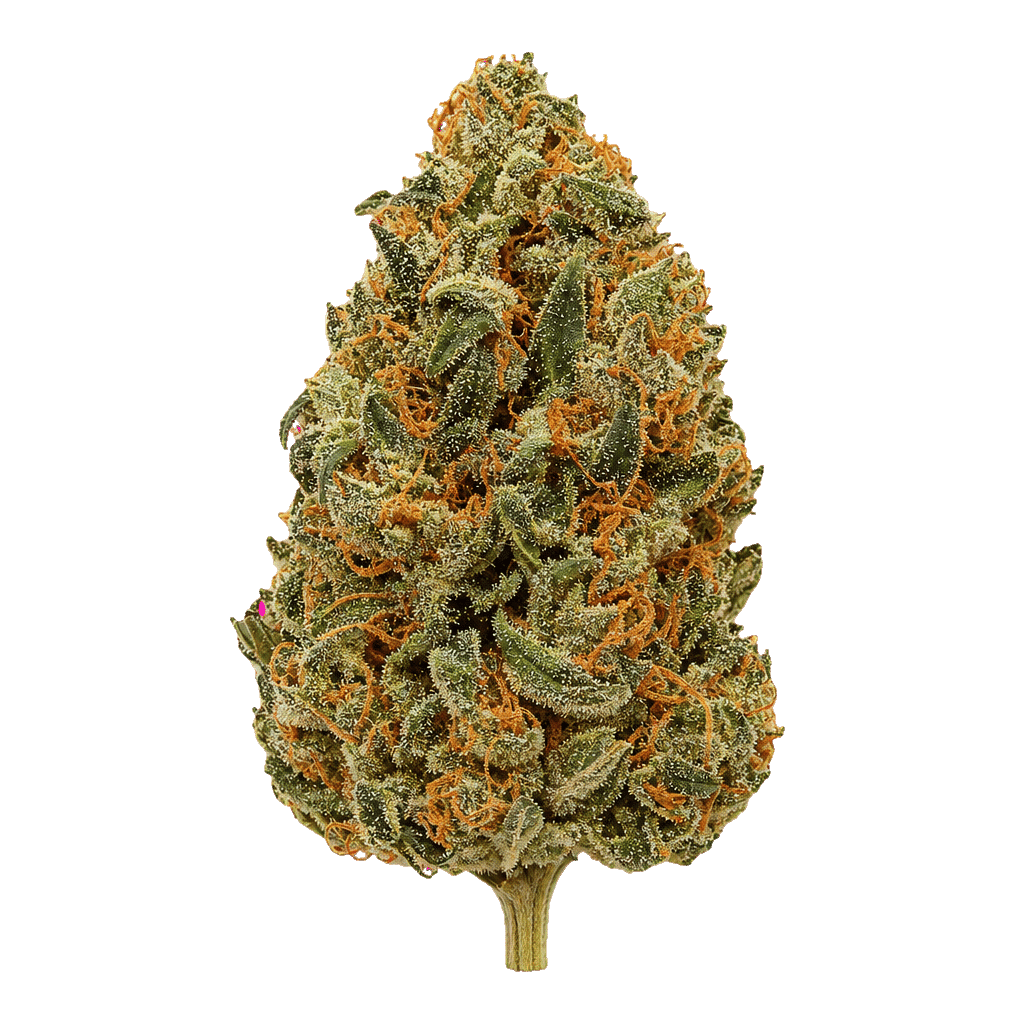 Zour Apple