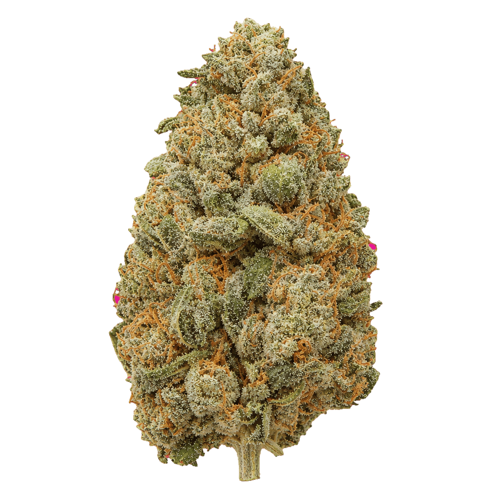 Animal Cookies