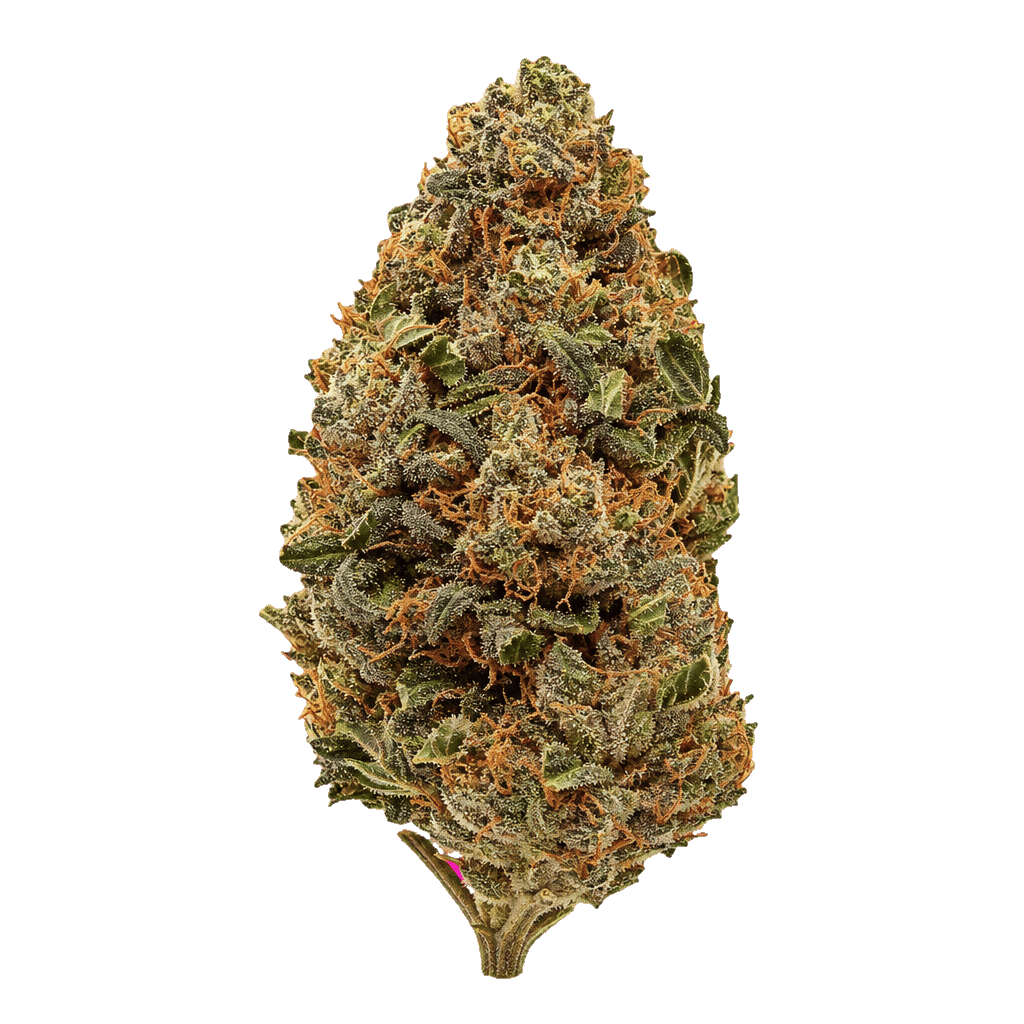 Dosi Cookies