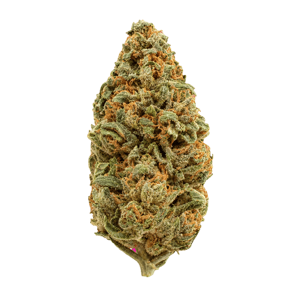 Dr. Lime