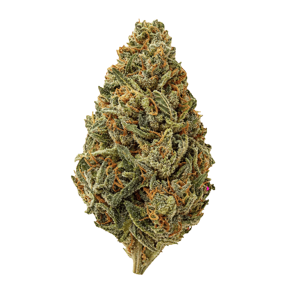 Bruce Banner
