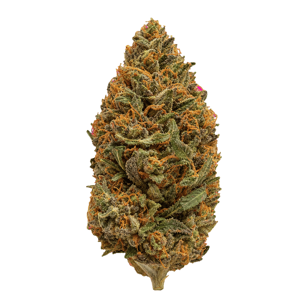 Remo Chemo