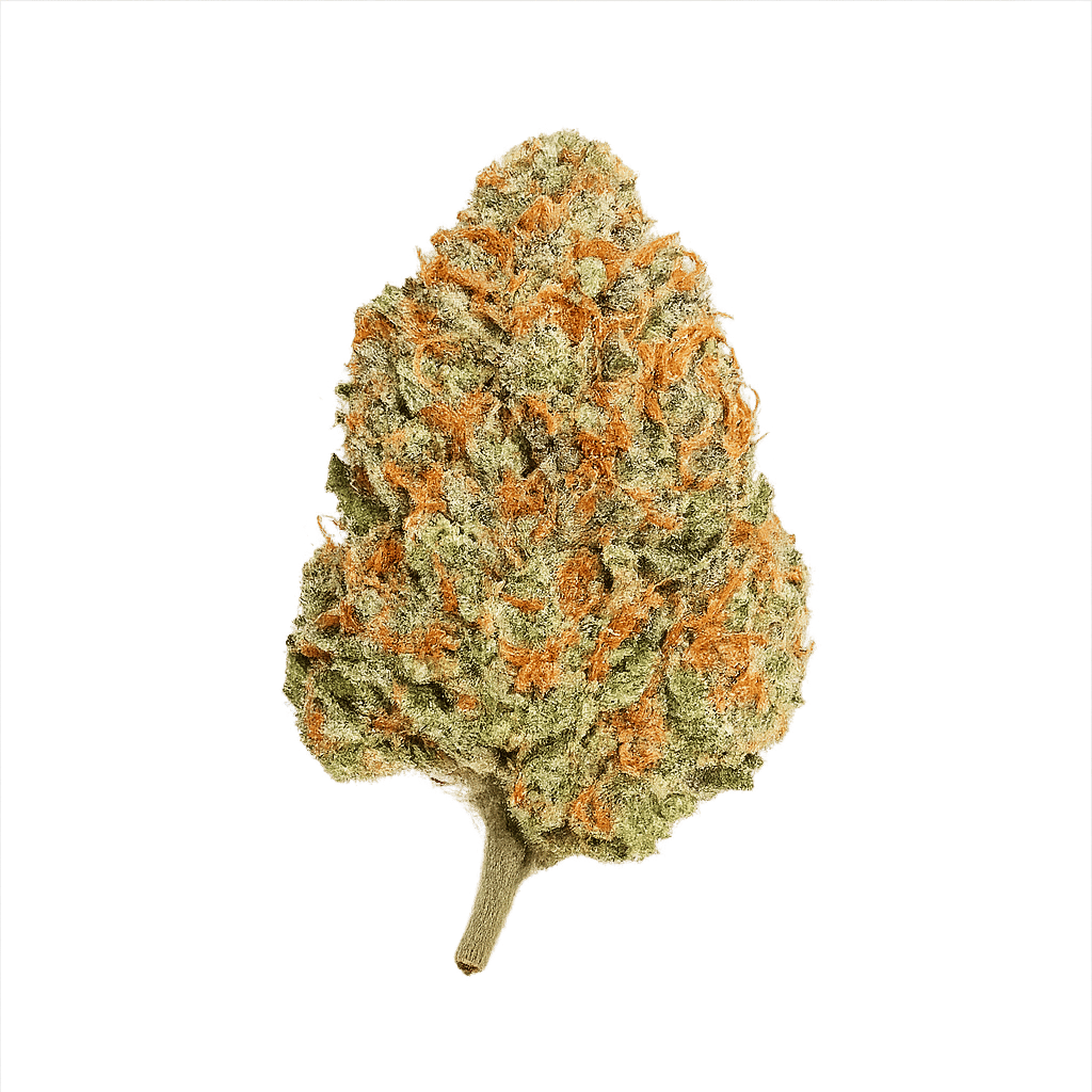 Blueberry