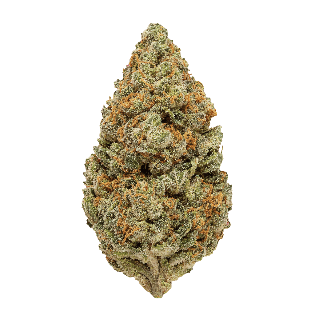 Girl Scout Cookies