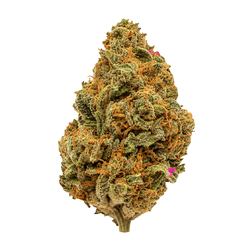 Amnesia Haze
