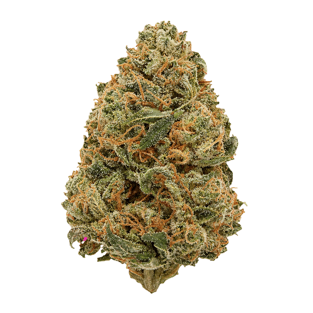 Gelato Zkittles