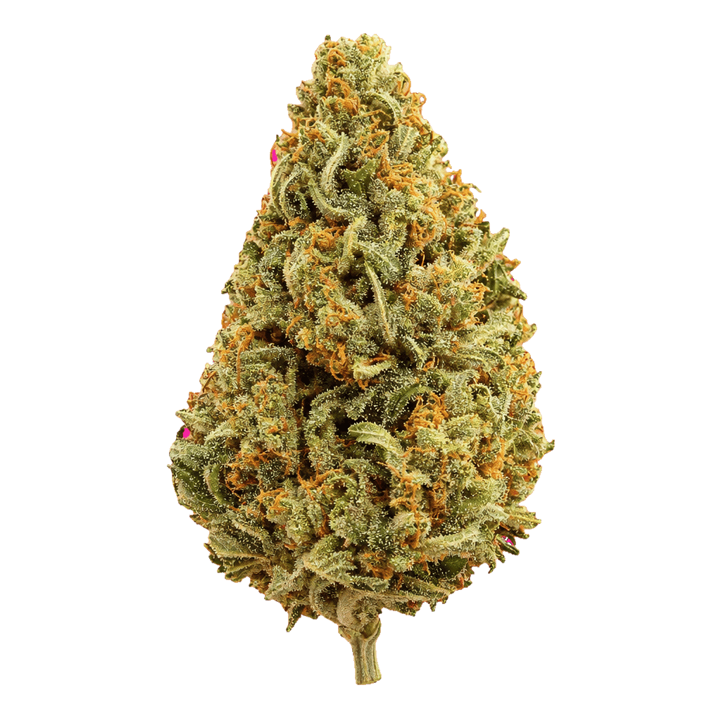 Lemon Skunk