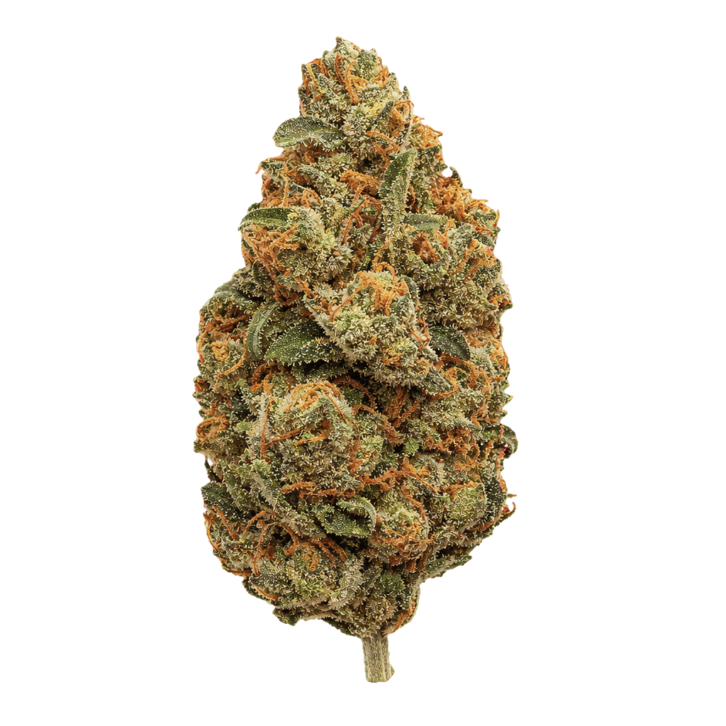 Florida Kush