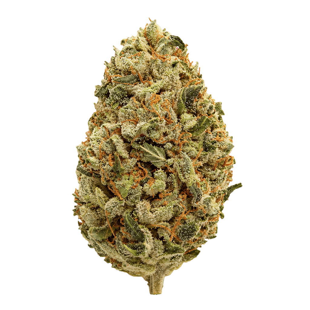 Guava Barz