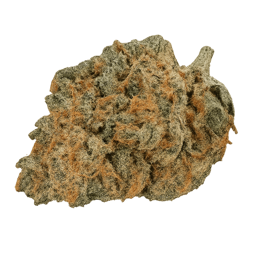 GMO Breath