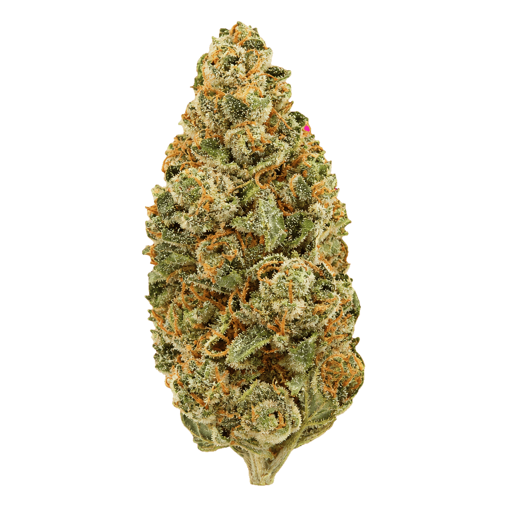 Purple Punch