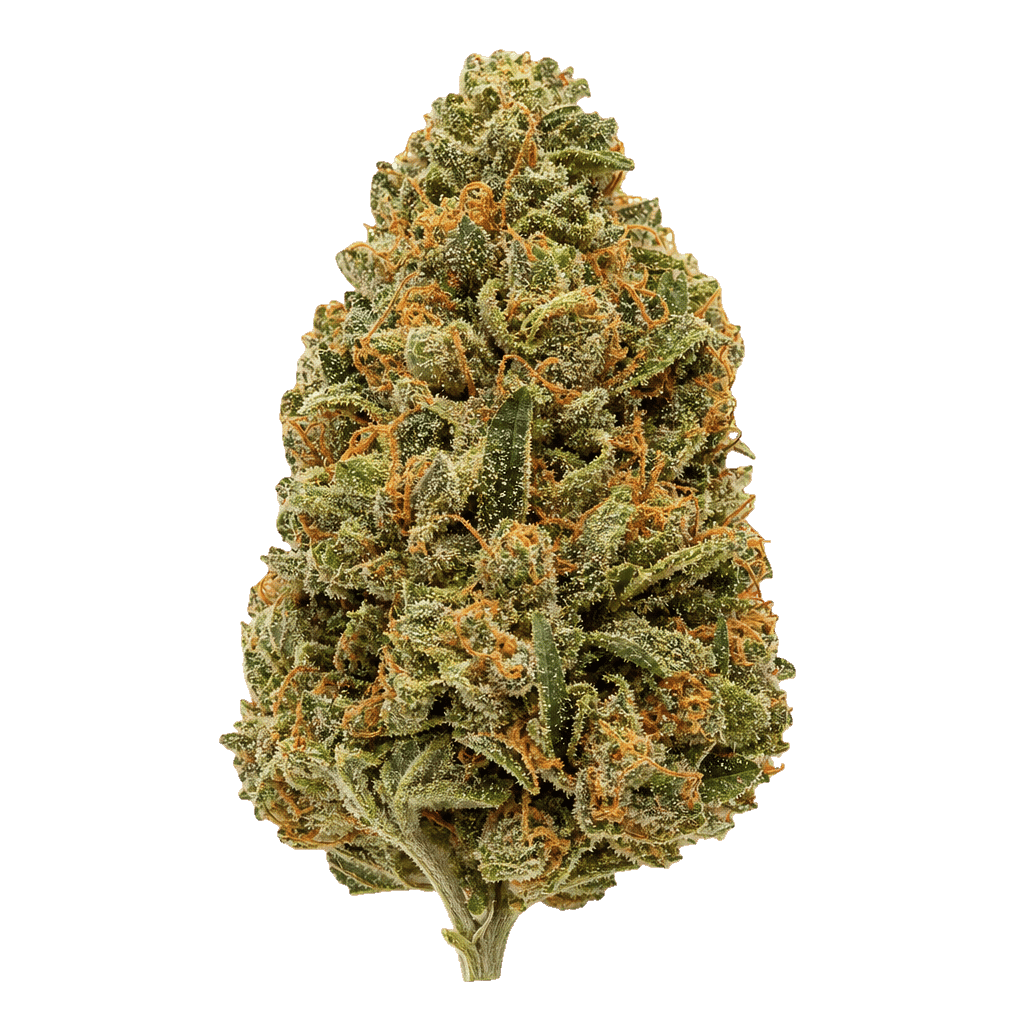 Casey Jones