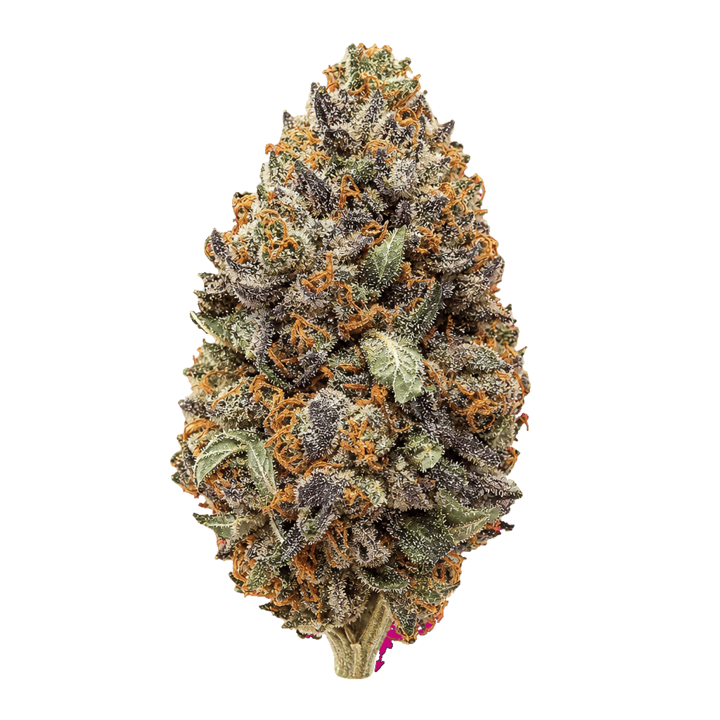 Apple Fritter x Purple Punch