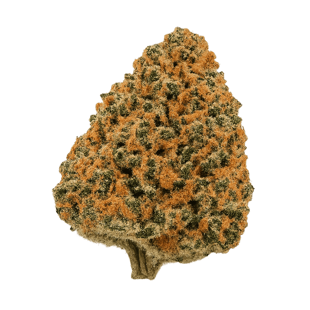 Critical Kush