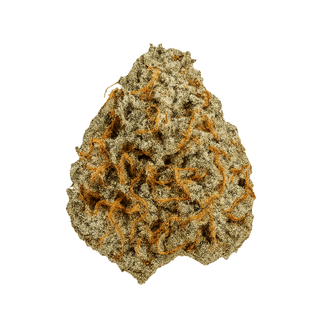 Equiposa