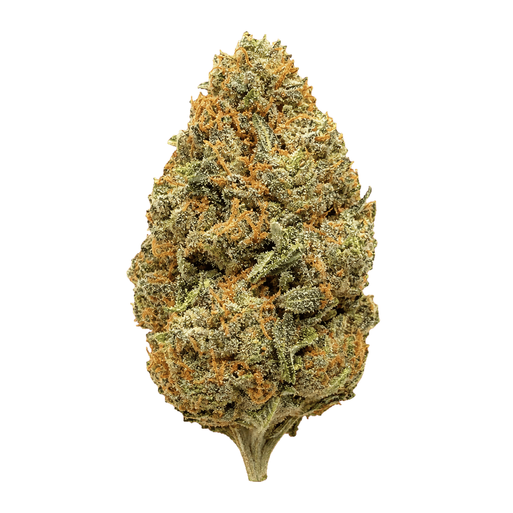 Arequipe Kush